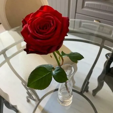 Cosy Aix إيكس ليه با